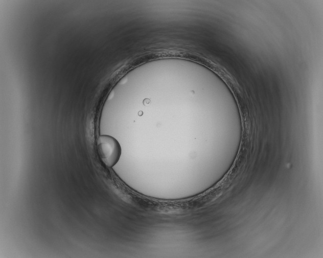 X0000111440729200907131020