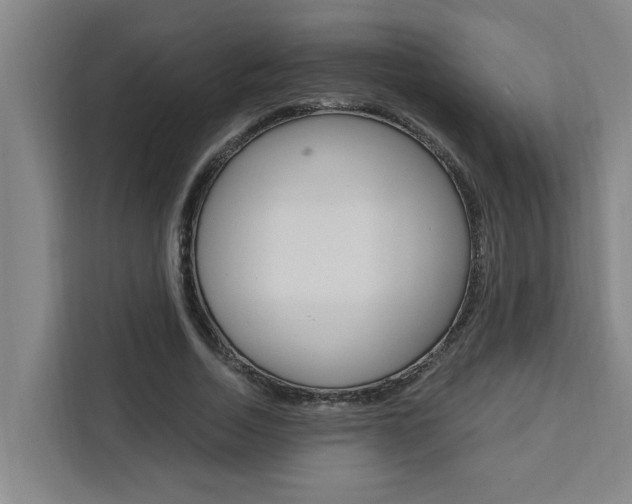 X0000111440730200907131020