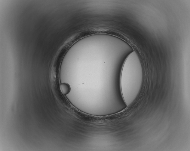 X0000111440731200907131020