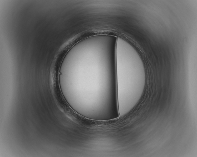 X0000111440732200907131020