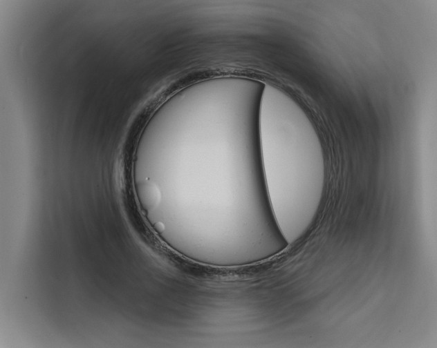X0000111440734200907131020