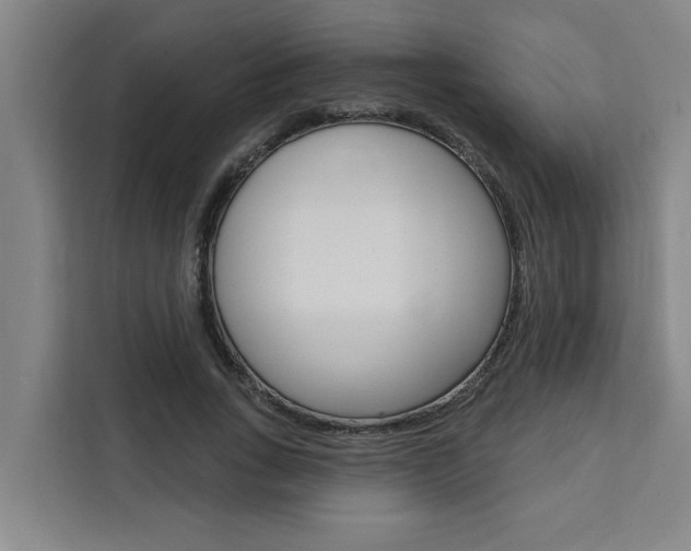 X0000111440735200907131020