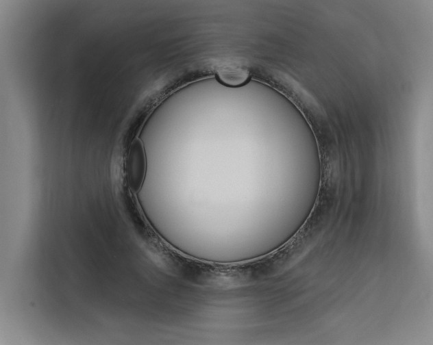 X0000111440736200907131020