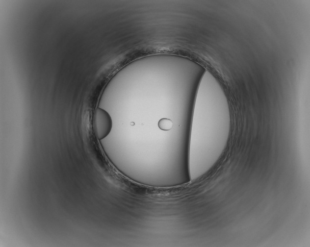 X0000111440740200907131020