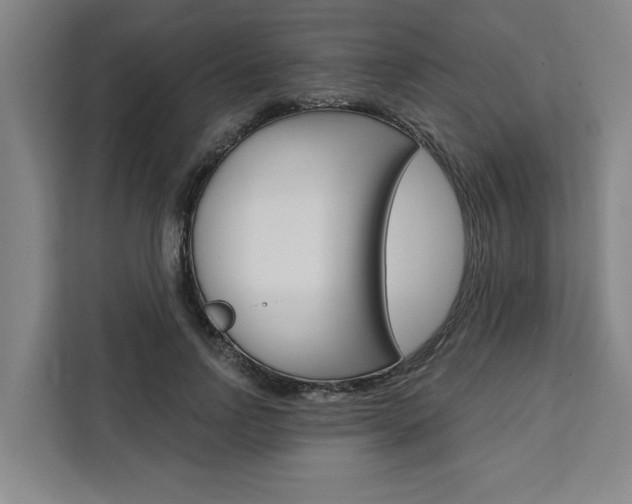 X0000111440742200907131020
