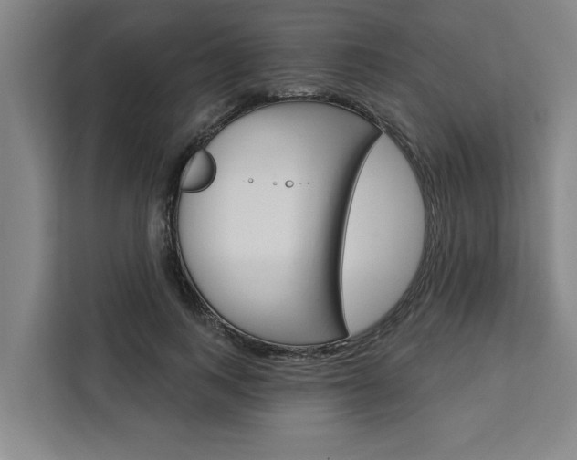 X0000111440743200907131020
