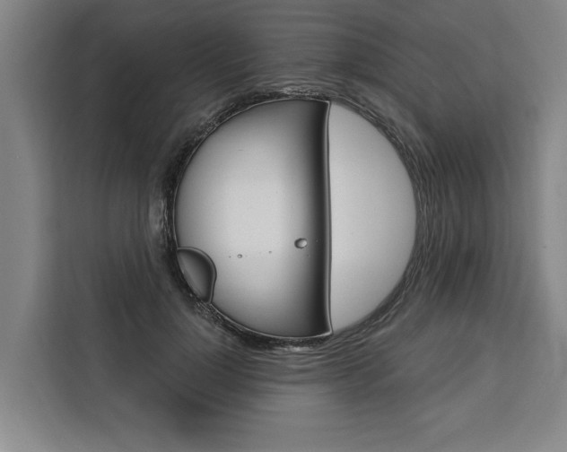 X0000111440748200907131020