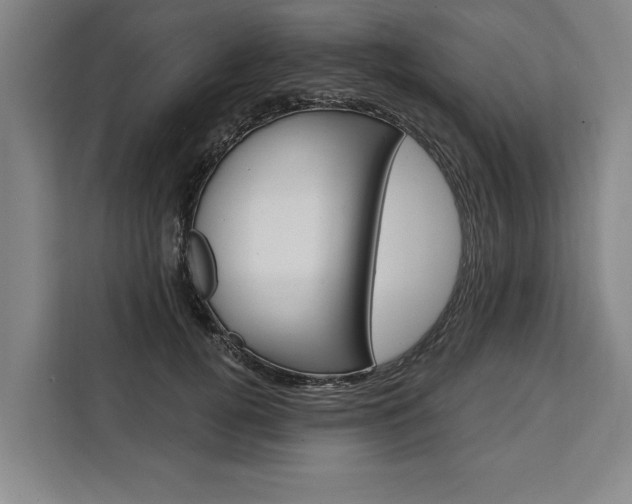 X0000111440752200907131020