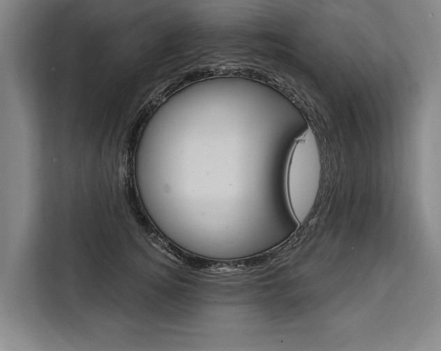 X0000111440756200907131020