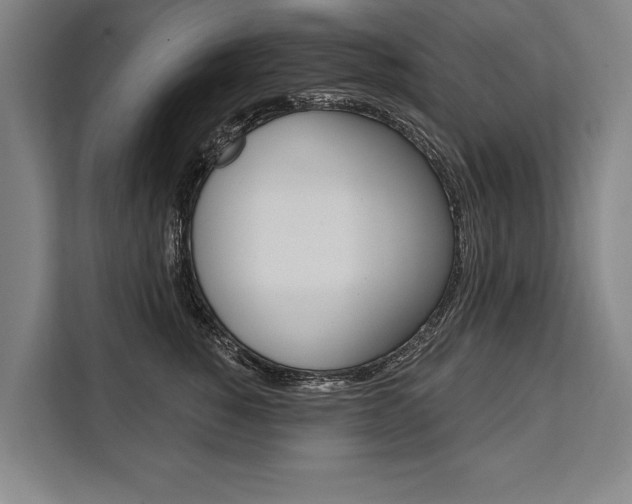 X0000111440760200907131020