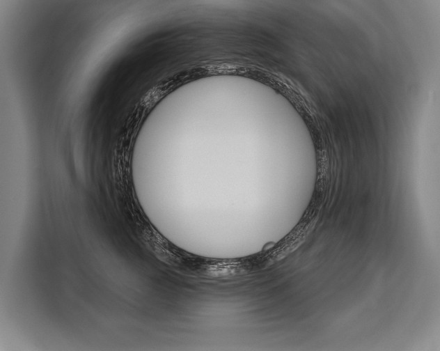 X0000111440761200907131020