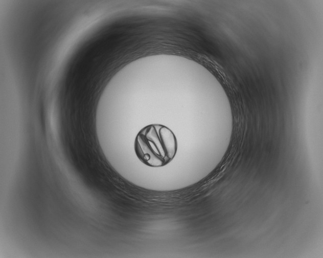 X0000111440762200907131020