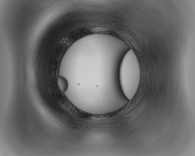 X0000111440763200907131020