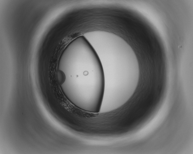 X0000111440766200907131021