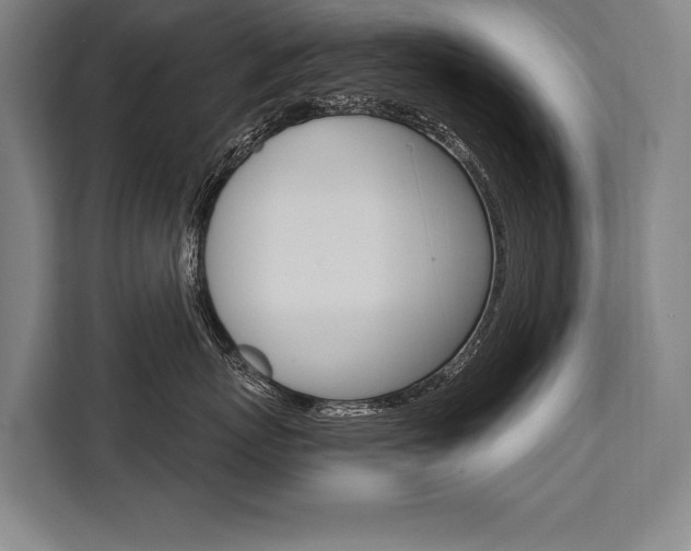 X0000111440767200907131021