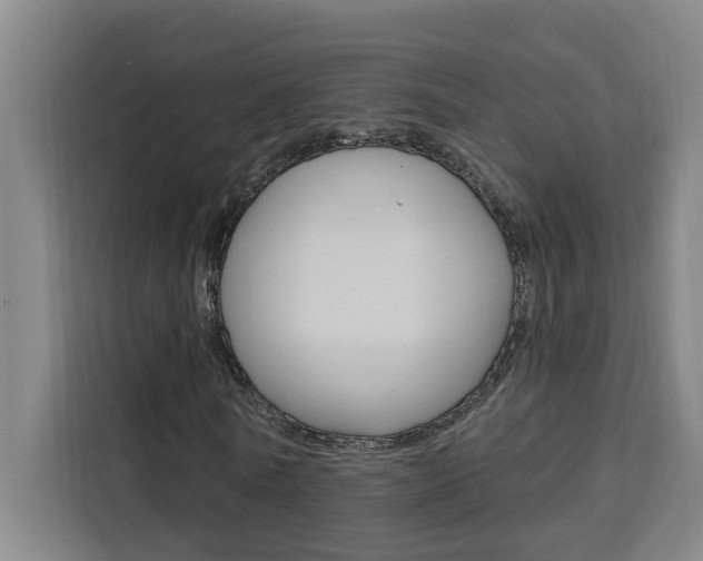 X0000111440770200907131020