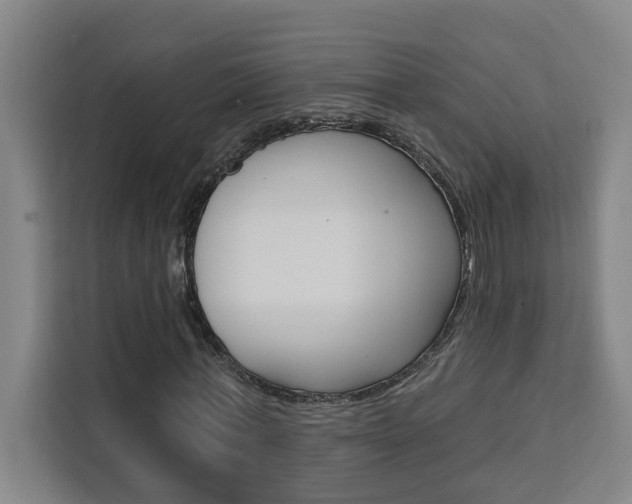 X0000111440771200907131020