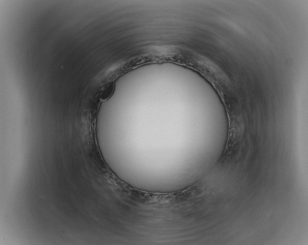 X0000111440773200907131020