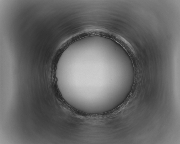 X0000111440775200907131020