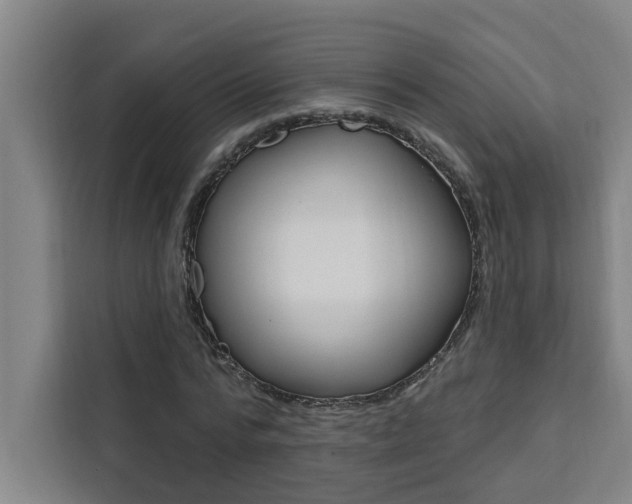 X0000111440776200907131020