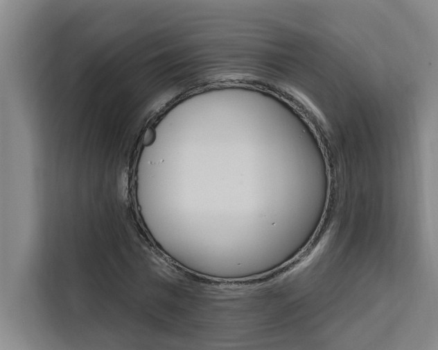X0000111440777200907131020