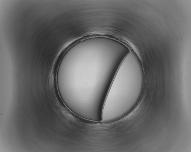X0000111440779200907131020