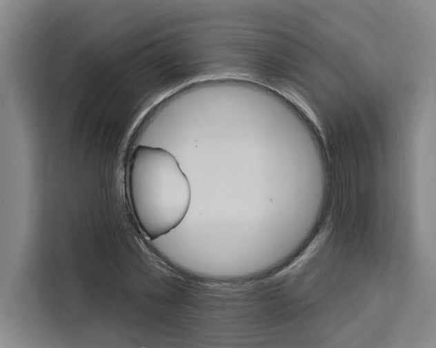 X0000111440781200907131020