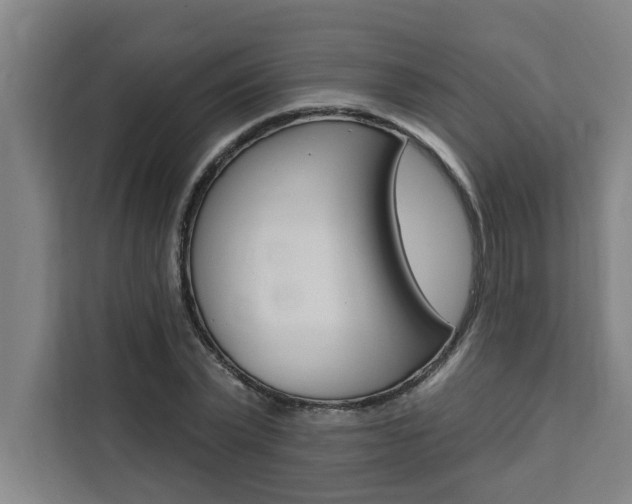 X0000111440783200907131020