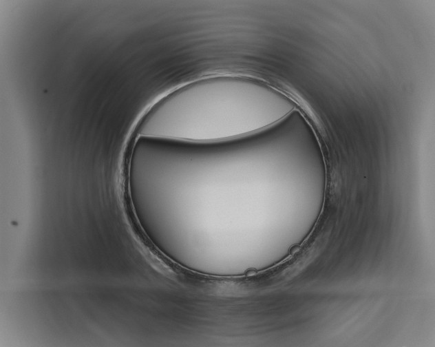 X0000111440787200907131020
