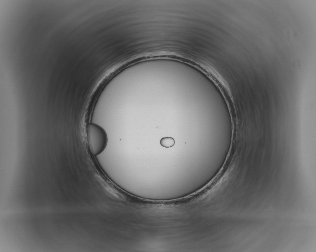 X0000111440789200907131020