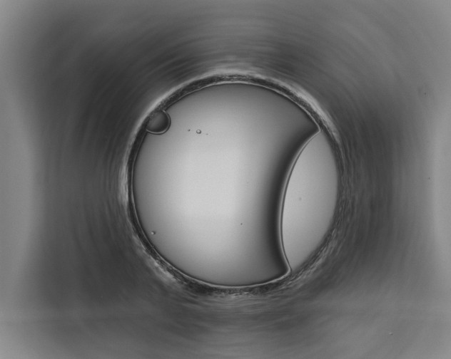 X0000111440791200907131020