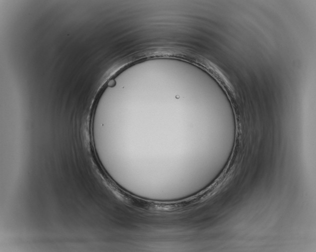 X0000111440794200907131020