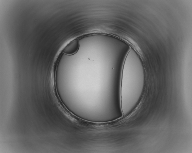 X0000111440796200907131020