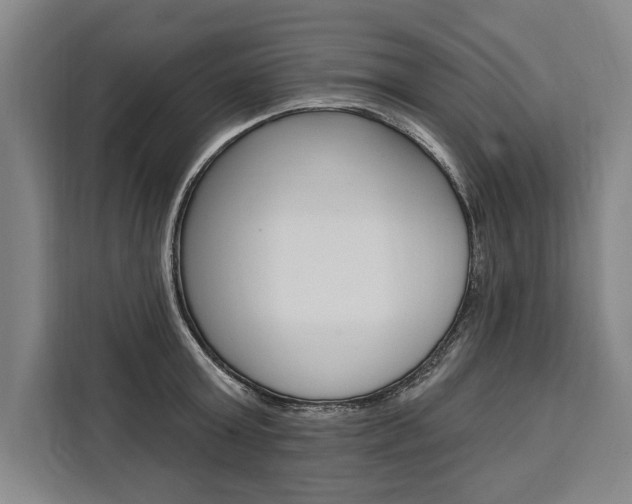 X0000111440803200907131019