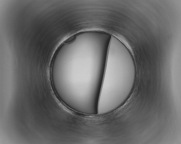 X0000111440805200907131019