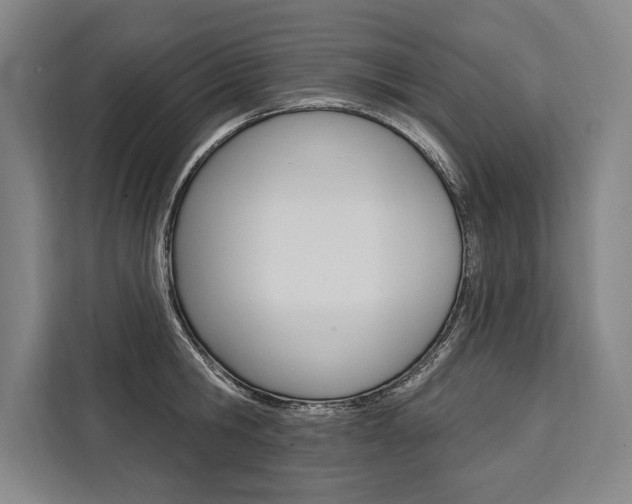 X0000111440806200907131019