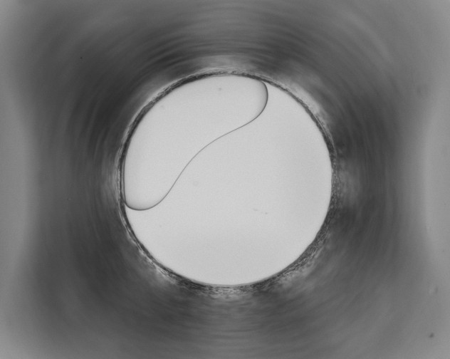 X0000111440807200907131019