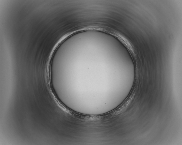 X0000111440808200907131019