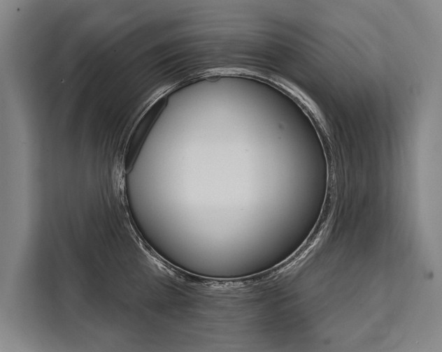 X0000111440809200907131019