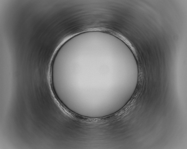 X0000111440811200907131019