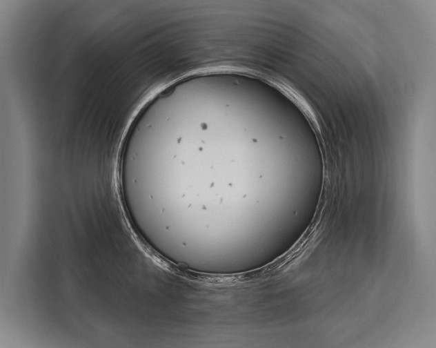 X0000111440813200907131019