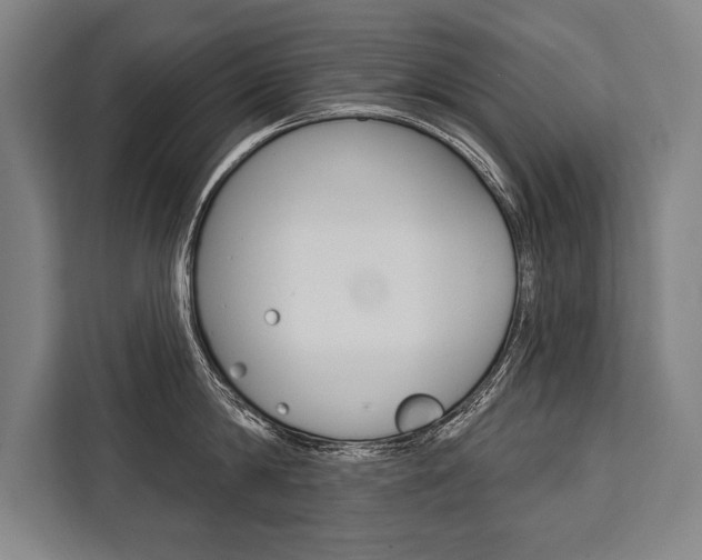 X0000111440814200907131019