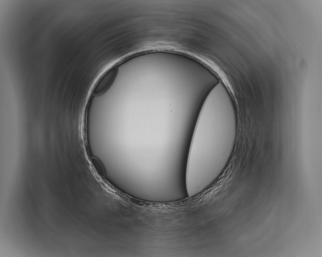 X0000111440815200907131019