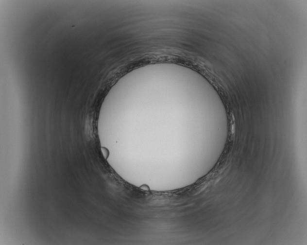 X0000111440819200907131019