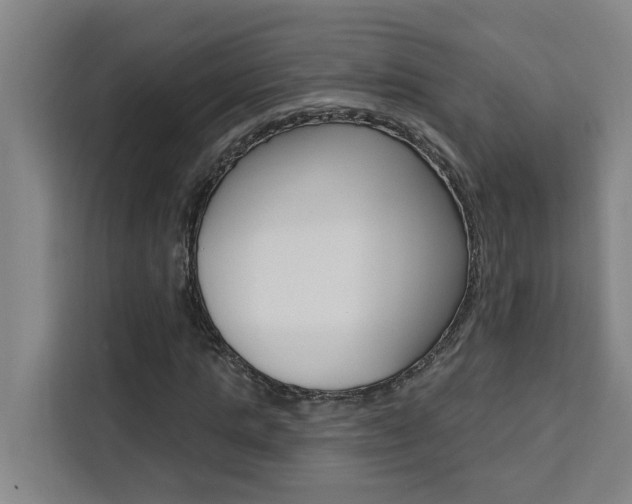X0000111440821200907131019