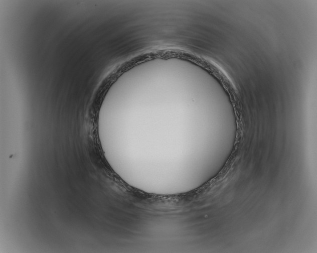 X0000111440823200907131019