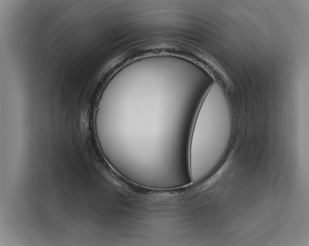 X0000111440826200907131019
