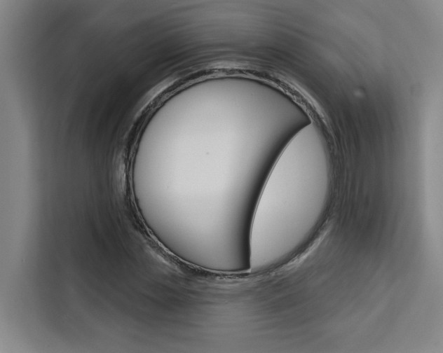 X0000111440829200907131019