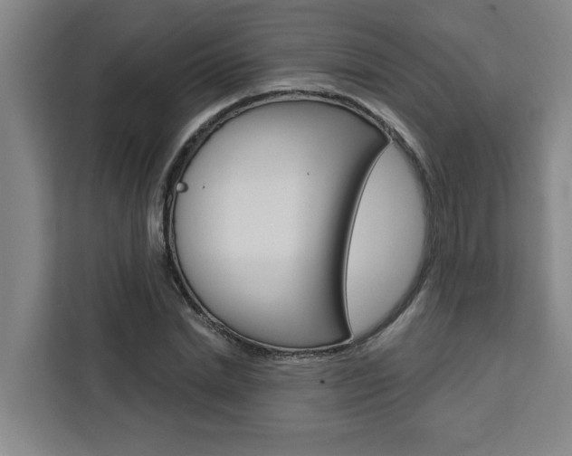 X0000111440830200907131019