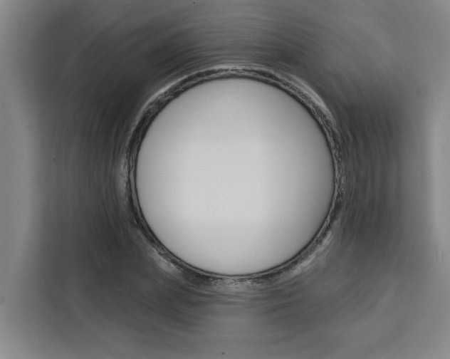 X0000111440831200907131019